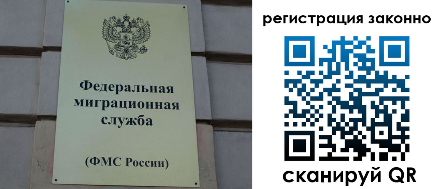 прописка гарантия в Фокино